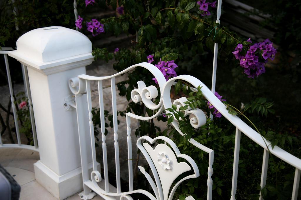 Villa Angelina 셀바디파사노 외부 사진